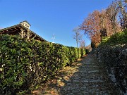 Pizzo di Spino (958 m) da casa-Zogno (300 m) ad anelo il 27 novembre 2020  - FOTOGALLERY